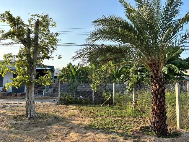 Bán đất 289m² Cam Hòa, 128m² thổ cư, đối diện cổng Vinhomes Cam Lâm, đường quy hoạch 29m, giá 1,55 tỷ