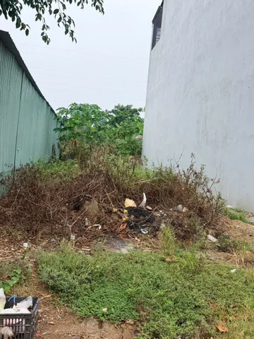 🔴 Bán Đất 78m2 ( ngang 5m ) Đường Hoà Phú 8, Hoà Minh - Giá 4,25 tỷ