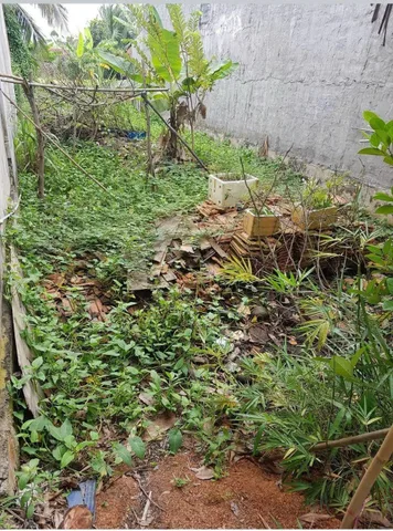 Bán nhanh trong tháng nền thổ cư giá rẻ chỉ 750 triệu, sổ hồng riêng  , khu đông dân xưa giờ , gần kcn thịnh phát, việc thật giá thật, chính chủ bán ko qua trung gian