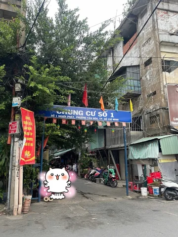 🏡 HẺM XE HƠI SÁT MẶT TIỀN LÝ THƯỜNG KIỆT – 60M² – NHÀ CŨ TIỆN XÂY MỚI – CHÍNH CHỦ LÂU ĐỜI