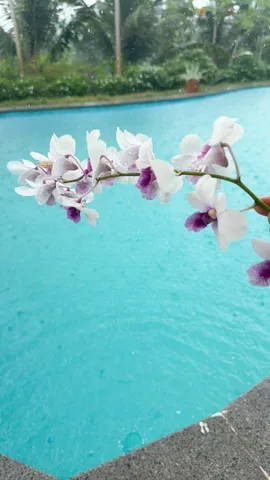 Bán Khách sạn 5000m2 có sẵn 100 m2 thổ cư giá 33 tỷ tại Khu nghỉ dưỡng resort - Chọn - Xã Hồ Tràm TP. Hồ Chí Minh