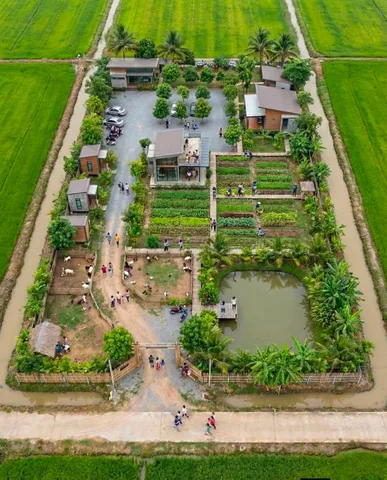 Bán Đất 500m2 giá 390 triệu tại Kênh Mới Xã Thạnh Lợi Huyện Bến Lức Long An