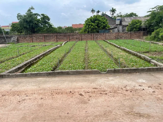 Bán Đất 100m2 có sẵn 100 m2 thổ cư giá 3.45 tỷ tại Xã Đông Tảo Huyện Khoái Châu Hưng Yên