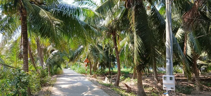 Bán Đất 1000m2 giá 940 triệu tại Xã Quới Điền Huyện Thạnh Phú Bến Tre