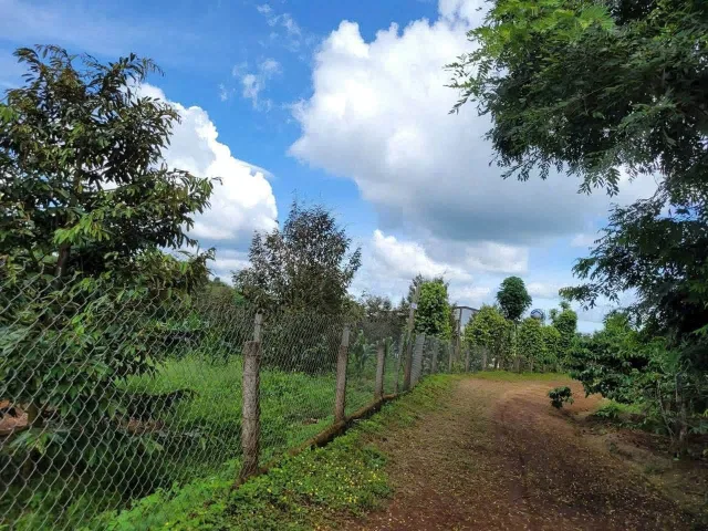 Bán Đất 3168.1m2 có sẵn 150 m2 thổ cư giá 1.65 tỷ tại Xã Cư Dliê M'nông Huyện Cư M'gar Đắk Lắk