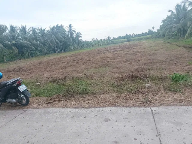Bán Đất 5000m2 giá 260 triệu tại Xã An Thạnh Đông Huyện Cù Lao Dung Sóc Trăng