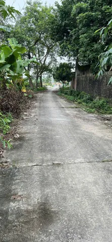 0395777369 e 🏢Bán Nhà Trọ 3 Tầng 15 Phòng, Khu Sơn, Hạp Lĩnh, Mt 6.39m Dt 78m Giá 6.2 Tỷ