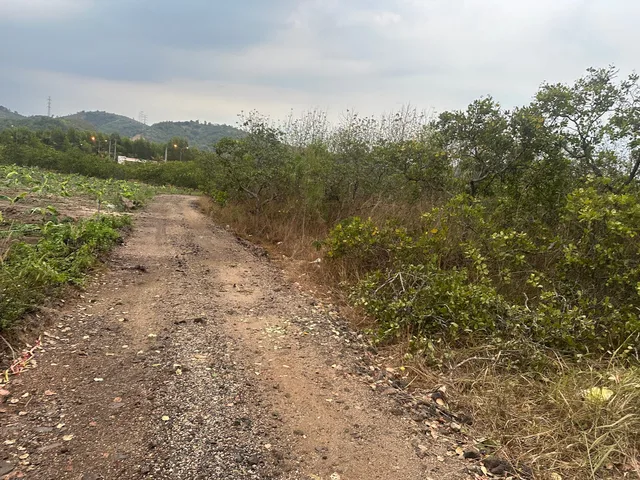 Bán Đất 6300m2 giá 1.05 tỷ tại Xã Hòa Phú Thành phố Buôn Ma Thuột Đắk Lắk