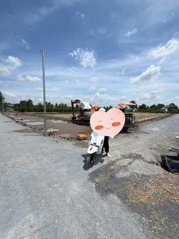 Bán Đất 500m2 giá 350 triệu tại Xã Thạnh Lợi Huyện Bến Lức Long An