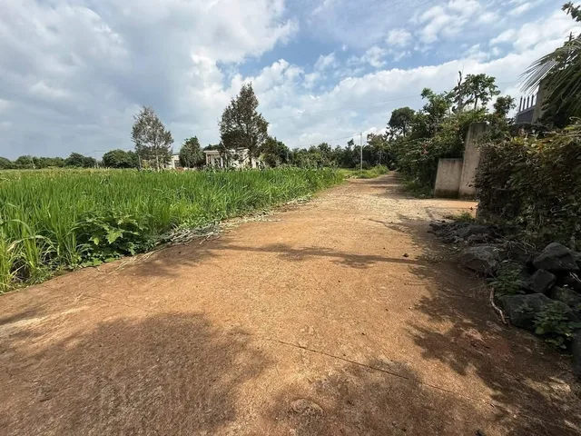 Bán Đất 300m2 có sẵn 70 m2 thổ cư giá 1.05 tỷ tại Xã Hòa Đông Huyện Krông Pắc Đắk Lắk
