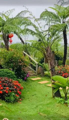 Chủ hộ cần bán gấp lô đất đẹp tại Bảo Lộc gần các khu du lịch giá chỉ từ 6xx