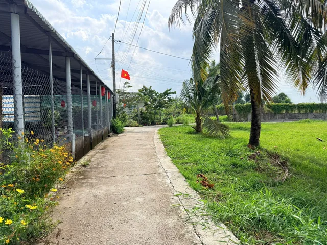 Bán 50m2 thổ cư 230triệu, đường xe hơi - tại Xã Quê Mỹ Thạnh Huyện Tân Trụ, Long An