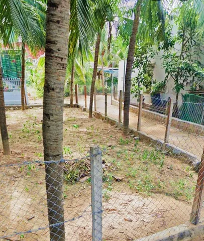 Góc 3 mặt Thoáng Đắc Lộc Vĩnh Phương _ Sát Công Ty Yến Sào + DT RONG NHO ( trong khu dân cư Đông Đúc ). DT 80m2. Giá 1.290ty