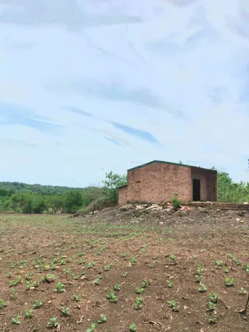 Bán Đất 1029.6m2 giá 300 triệu tại Xã Tam Giang Huyện Krông Năng Đắk Lắk
