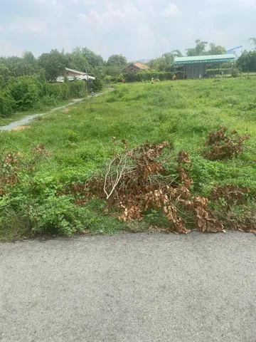 Bán Đất 1990m2 giá 9 tỷ tại Xã Bạch Đằng Thị xã Tân Uyên Bình Dương