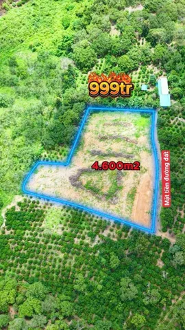 0766.52.1368 ĐẤT NGAY CẦU 14 VIEW SÔNG SÊRÊPỐK – GIÁ CHỈ 850 TRIỆU 🌿 Diện tích: 4,6 sào