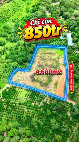 0766.52.1368 ĐẤT NGAY CẦU 14 VIEW SÔNG SÊRÊPỐK – GIÁ CHỈ 850 TRIỆU 🌿 Diện tích: 4,6 sào