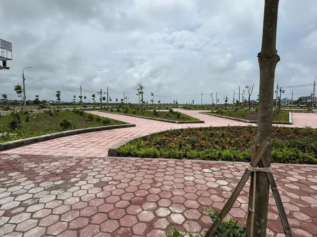 🔥 CHỦ KẸT TIỀN BÁN GẤP 100M² ĐẤT Ở TẠI HẢI HƯNG - CHỈ 31TR/M² RẺ NHẤT KHU VỰC!
