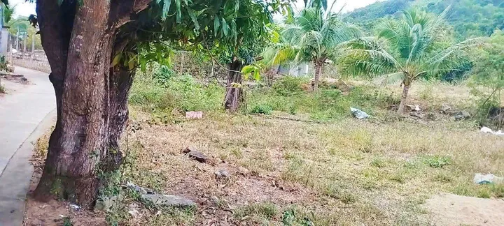 ĐẤT VƯỜN 3 MẶT THOÁNG Vĩnh Phương _ khá gần Vành Đai 3 { Phù hợp quy hoạch : 236m² ĐẤT Ở } . DT 1954m2. Giá 1.550ty