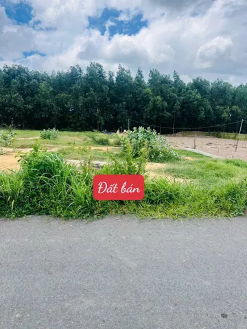 KẸT TIỀN BÁN GẤP 436M2, THỔ CƯ 200M, KẾ BÊN TRƯỜNG HỌC, CHỢ, CÔNG VIÊN, GIÁ 520 TRIỆU, SHR.