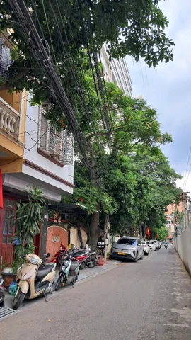 Cho thuê nhà ngõ 81 TRẦN CUNG, Cầu Giấy. 20 triệu/tháng. Ưu tiên: Hộ gia đình, Văn Phòng, Cty, KD Onl, Lớp học.