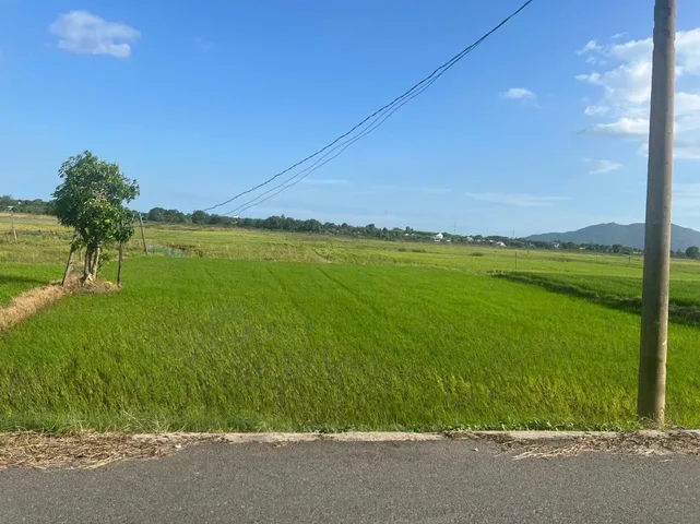 Bán Đất 5800m2 giá 3.2 tỷ tại Xã Phước Hội Huyện Đất Đỏ Bà Rịa - Vũng Tàu