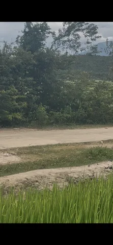 Bán Đất 100000m2 giá 435.6 triệu tại - Chọn - Xã Bác Ái Khánh Hòa