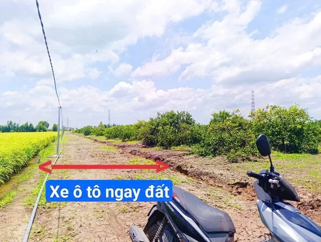 Bán Đất 500m2 đường ô tô giá rẽ - chỉ giá 295tr tại Xã Long Hiệp Huyện Bến Lức Long An