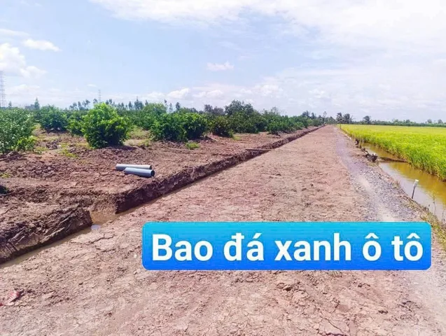 Bán Đất 500m2 đường ô tô giá rẽ - chỉ giá 295tr tại Xã Long Hiệp Huyện Bến Lức Long An