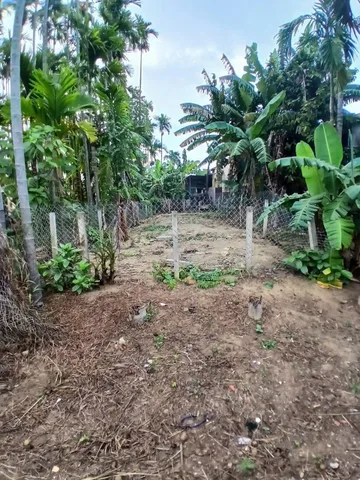 Bán đất Bồng Lai, Điện Minh 📌📌📌Làm việc trực tiếp giá tốt !!!