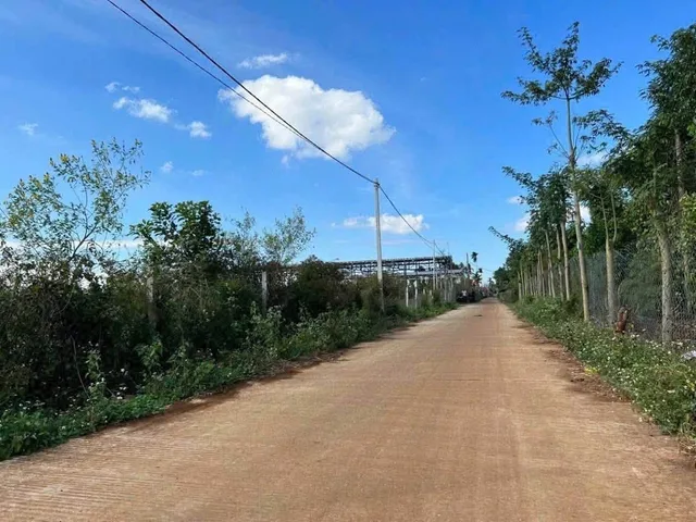 Bán Đất 143.3m2 có sẵn 100 m2 thổ cư giá 789 triệu tại Xã Hòa Đông Huyện Krông Pắc Đắk Lắk