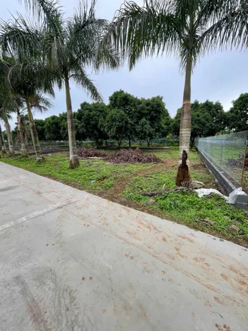 Bán tại buôn komleo Xã Hòa Thắng Thành phố Buôn Ma Thuột Đắk Lắk