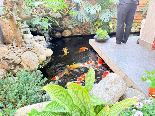 Bán Nhà riêng 185m2 có sẵn 185 m2 thổ cư giá 27 tỷ tại  - Thành phố Thủ Đức TP. Hồ Chí Minh