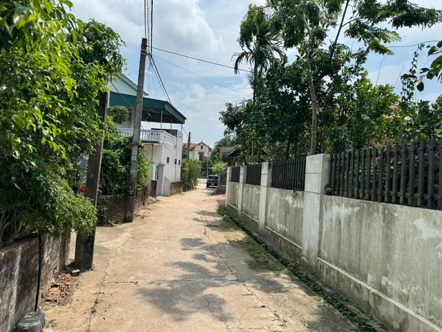 BÁN ĐẤT, CD QUÁN TRẠCH, FUN THỔ CƯ, NGÕ NÔNG, CHỈ 30 TRIỆU M2.