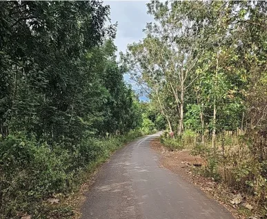 Thanh lí : 06 lô đất liên kề hơn 7ha tại Lộc Ninh, Bình Phước giáp đường lớn