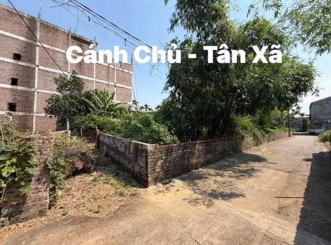 Bán Đất 100m2 có sẵn 100 m2 thổ cư giá 1.6 tỷ tại Tân Xã Huyện Thạch Thất Hà Nội