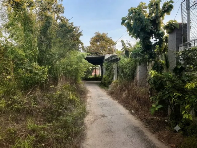 VL4-70 | 📐162,7m² (60,3m² TC) | 🧭 Đông Nam | 💰1,5 tỷ