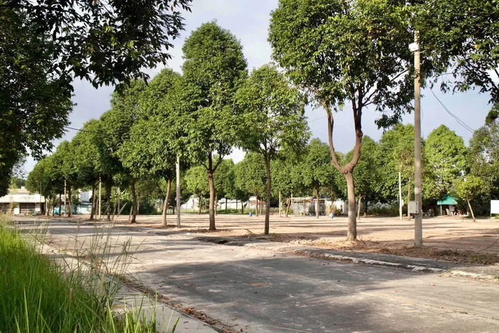 bán đất ngay cổng chào kcn bàu bàng dân đông kín