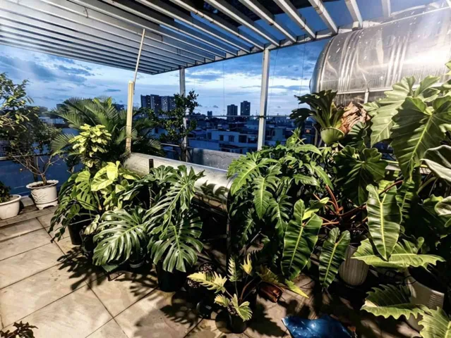 🔥 NHÀ MỚI ĐẸP TRẦN VĂN QUANG – SÁT MT – Ô TÔ TỚI NHÀ – 4 TẦNG – TẶNG NỘI THẤT – 5×× TỶ