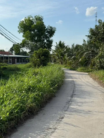 Bán Đất 300m2 có sẵn 300 m2 thổ cư giá 3 tỷ tại Đường Nguyễn Hữu trí Xã Tân Bửu Huyện Bến Lức Long An