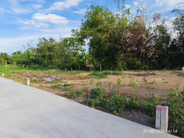 Bán Đất 96.8m2 có sẵn 80.3 m2 thổ cư giá 360 triệu tại Phường Ninh Hà Thị xã Ninh Hòa Khánh Hòa