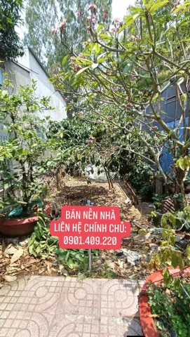 * Bán Nền Nhà gần Bến Xe Tân Hồng (đường Hùng Vương)
* Ngang 6m x dài 12m (Full thổ cư)
* 1ty hết đất (có thương lượng)