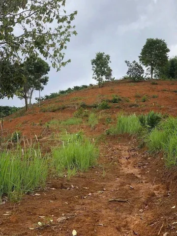 2,8ha đất đỏ mà chỉ 1,2 tỷ
Quá rẻ