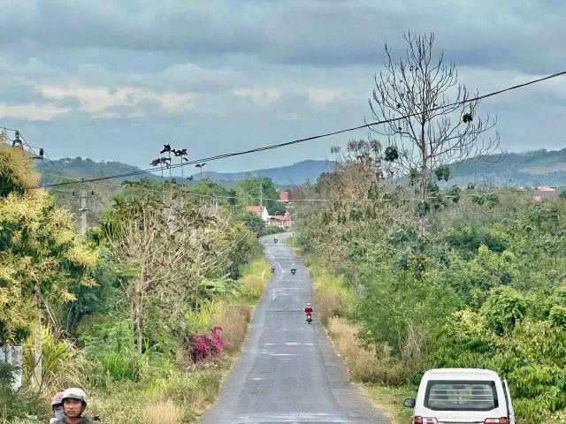 0766.52.1368 Ngang 26,5M MẶT TIỀN TL683 – GIÁ CHỈ 2,2 TỶ 🔥📍 Quảng Đà, Đắk Sôr, Krông Nô – Đắk Nông cũ
