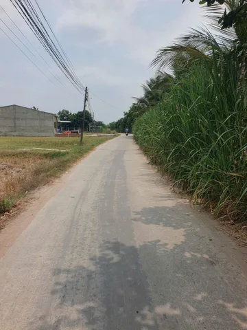 Bán đất 1/ đường An Ninh , xã An Ninh Tây, Đức Hòa dt 628m2 full thổ giá 2,55 tỷ