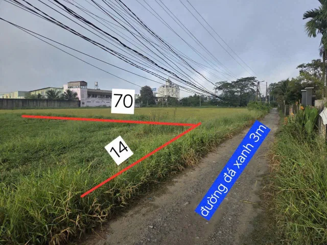 Bán Đất 1000m2 có sẵn 1000 m2 thổ cư giá 2.5 tỷ tại Xã Đức Hòa Hạ Huyện Đức Hòa Long An
