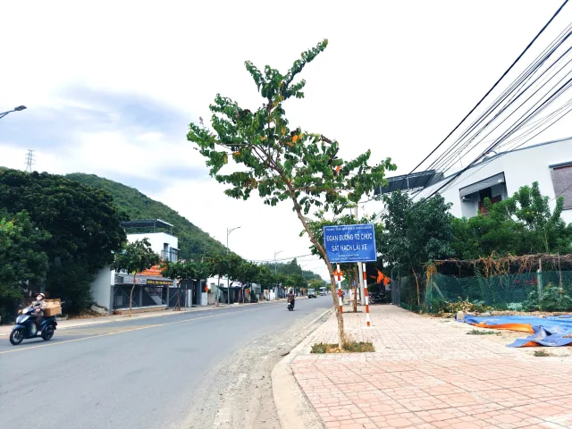 Bán Đất 274.3m2 có sẵn 220 m2 thổ cư giá 9.9 tỷ tại Đường Phong Châu Xã Phước Đồng Thành phố Nha Trang Khánh Hòa