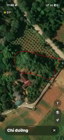 Bán Đất 333.3m2 có sẵn 100 m2 thổ cư giá 2.6 tỷ tại Xã Tiên Phong Huyện Ba Vì Hà Nội