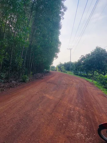 Bán Đất 24800m2 giá 4.7 tỷ tại Xã Xuân Hưng Huyện Xuân Lộc Đồng Nai