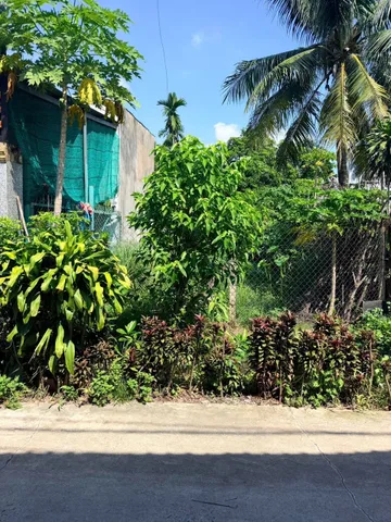 Bán Đất 203.9m2 có sẵn 198.3 m2 thổ cư giá 2.4tỷ tại Đường Cầu Kênh N31A - TL8 Xã Bình Mỹ Huyện Củ Chi TP. Hồ Chí Minh